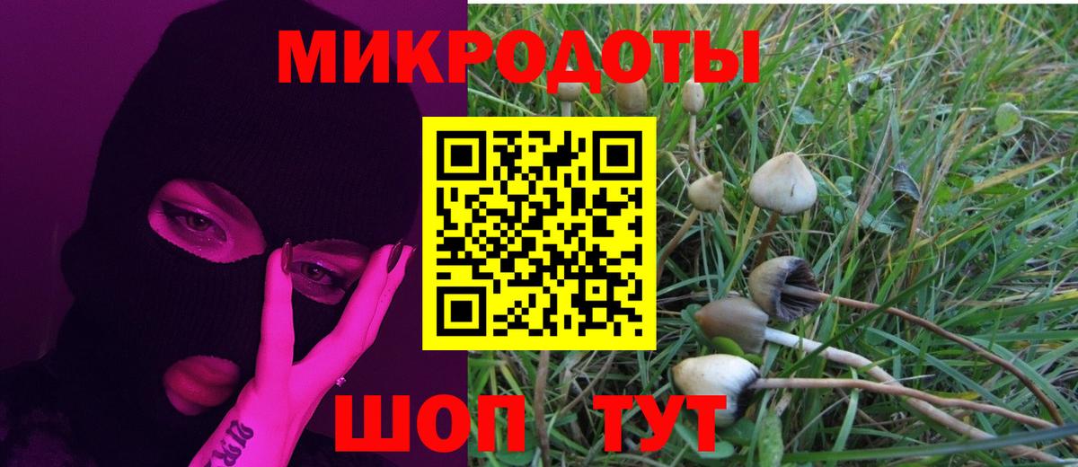 Псилоцибиновые грибы мицелий Новосибирск