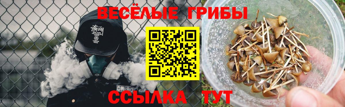 Новосибирск  Галлюциногенные грибы Cubensis  Вход с VPN 